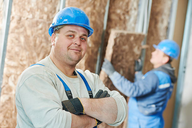 Best Insulation Installation Services in Lauderdale, MN